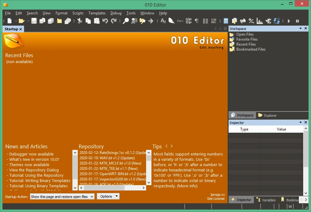 010 Editor 16.0.4 + key