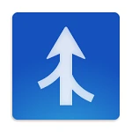 Araxis Merge Professional 2025.1 + key