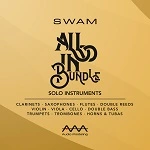 Audio Modeling SWAM Bundle 2025.6 + crack