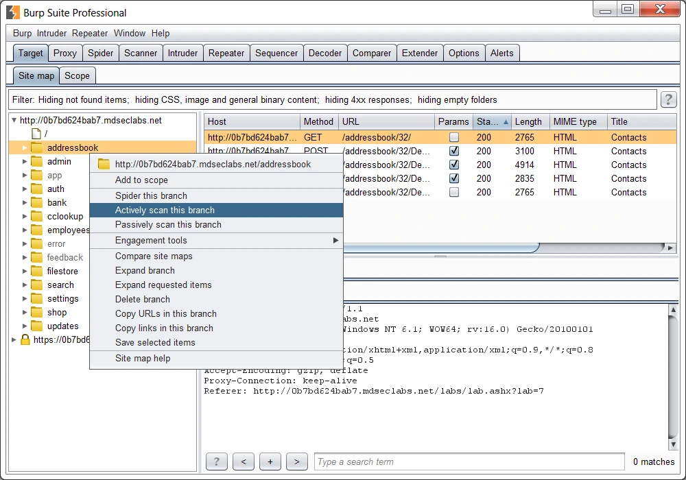 Burp Suite Professional 2026.4.3 + crack key