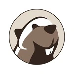 DBeaver Ultimate 26.0 + key ключ