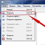 DjView 4.12 на русском языке