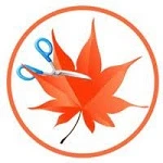 Easy Cut Studio 6.020 + key