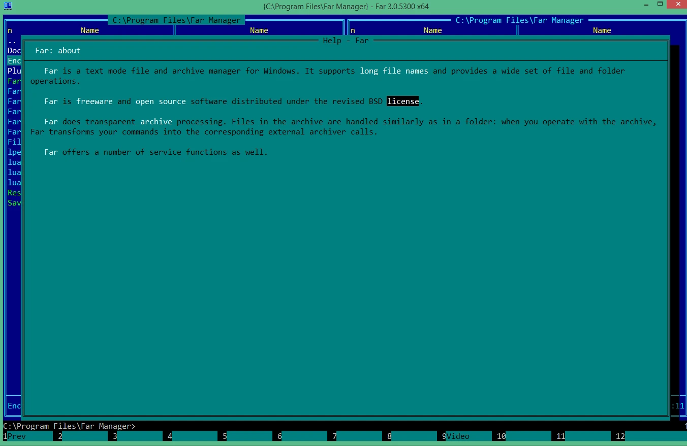 Far Manager 3.0 Build 6666 + x64