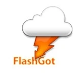 FlashGot 1.5.6.14