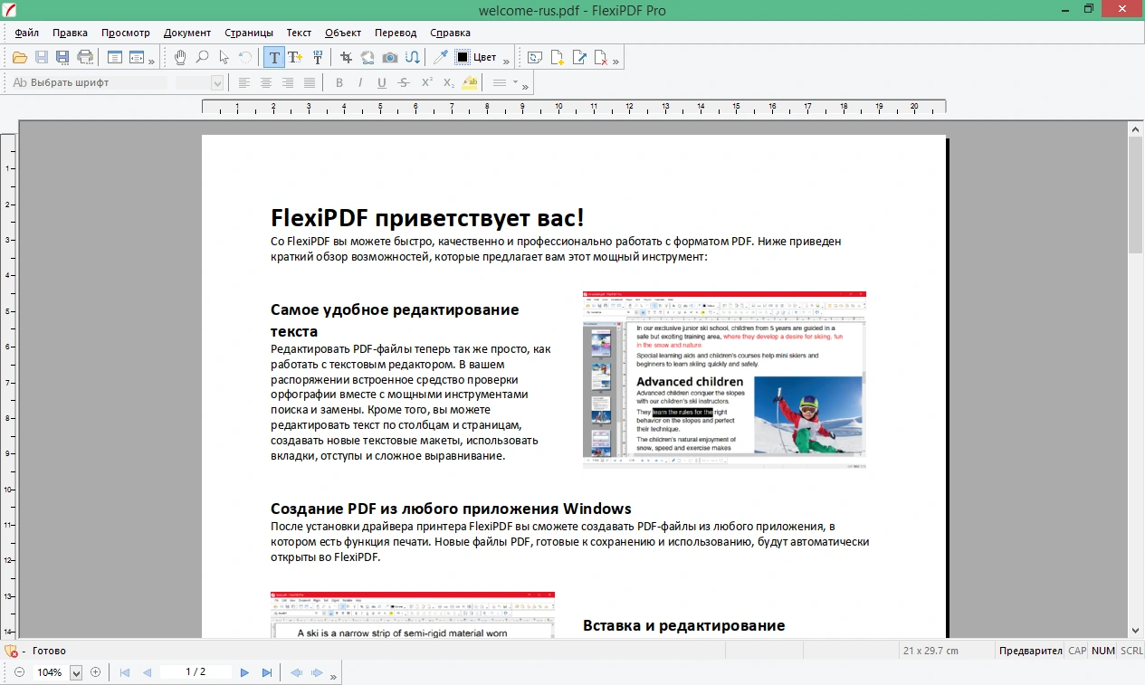 FlexiPDF Professional 2025.418.0425 + crack