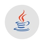 Java SE Development Kit 25.0.3