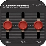 Kazrog True Iron v1.3.3 + crack