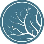 Lumion Pro 12.5 + crack