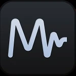 MiniMeters 1.0.29.252 + crack