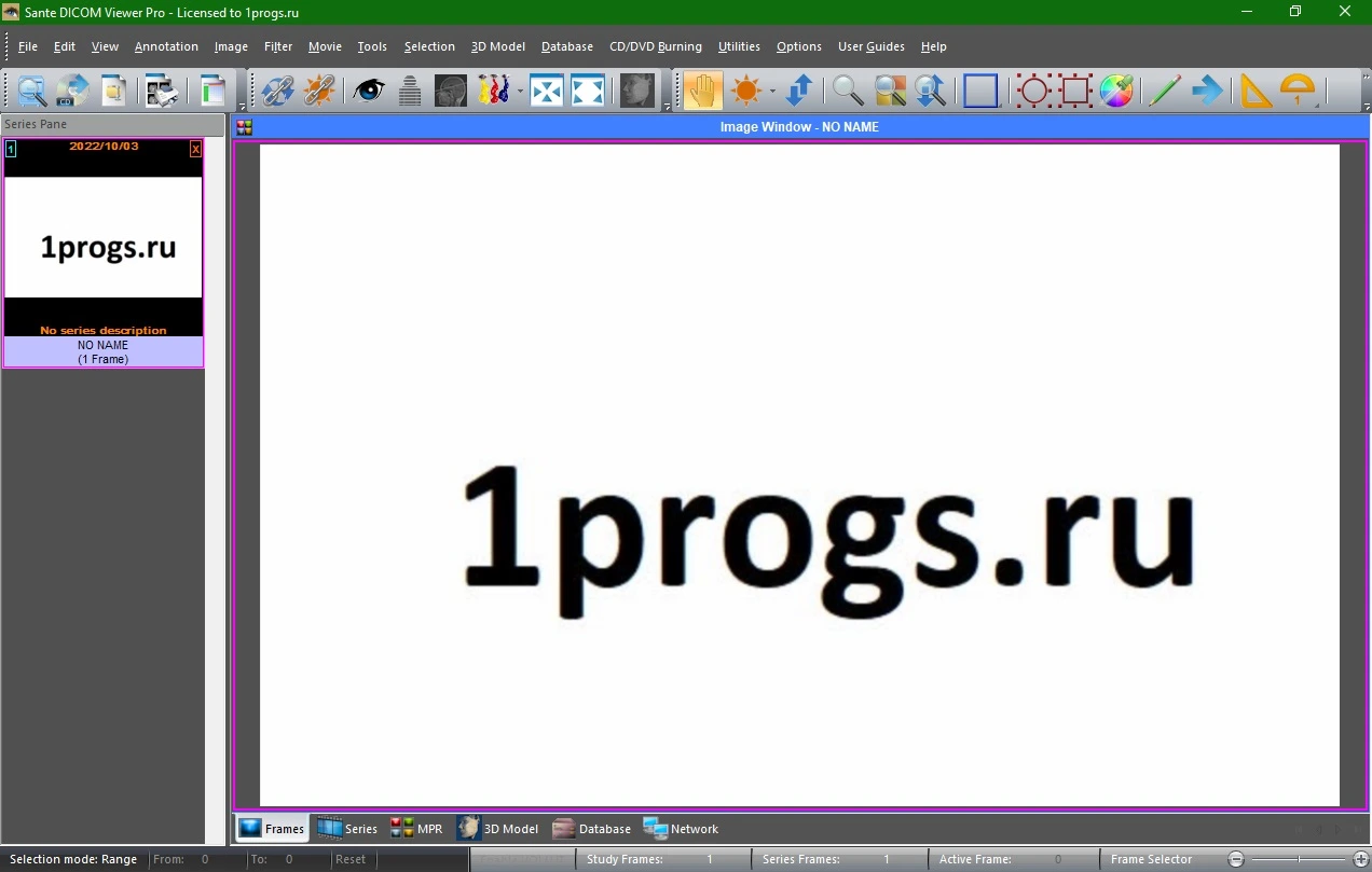 Sante DICOM Viewer Pro 14.4 + crack