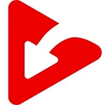 Viddly YouTube Downloader Plus 5.0.396 + активатор