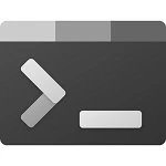 Windows Terminal 1.17.11391.0