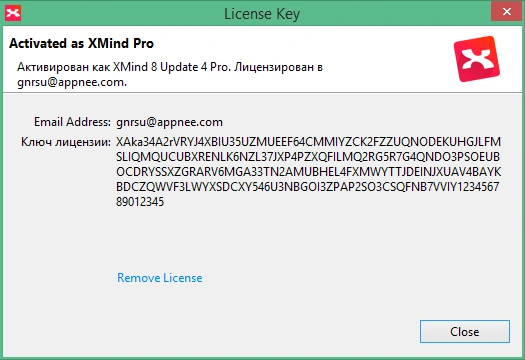 XMind 2025 v25.07 на русском + crack