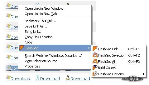 FlashGot 1.5.6.14